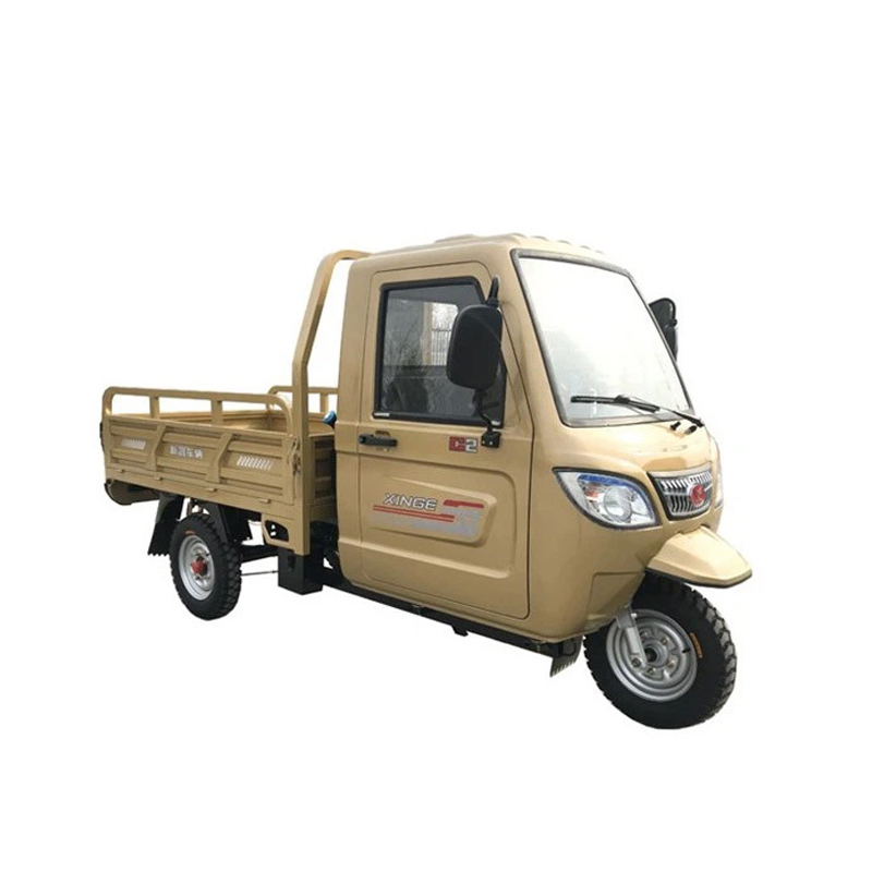 250CC Petani digunakan Tricycle Tricycle Gasoline beban berat
