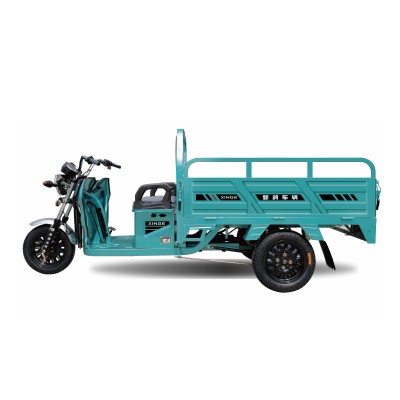 TL150GT Tricycle Pengangkutan Elektrik