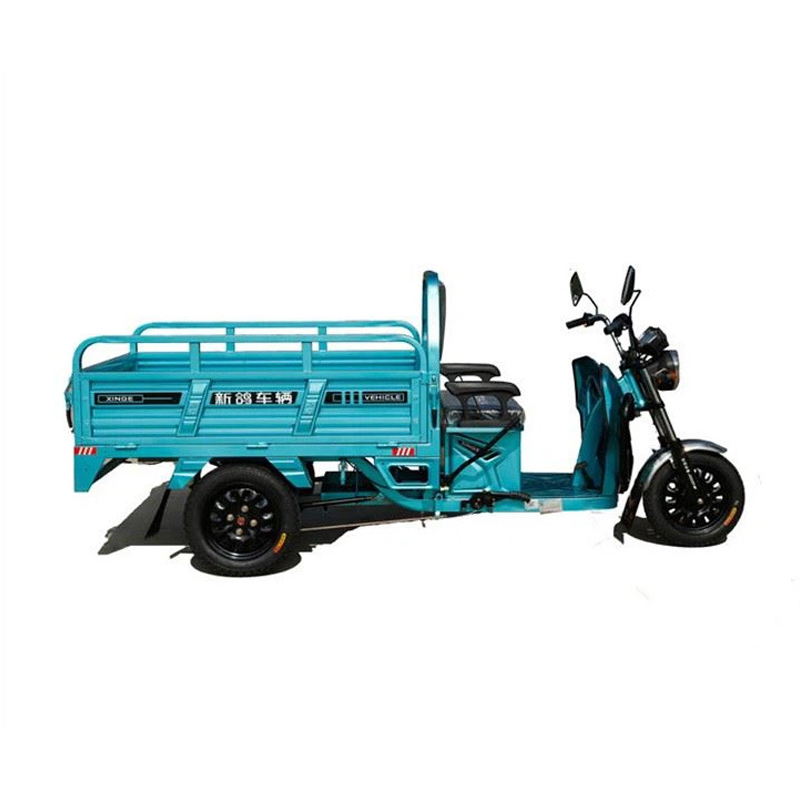 800W Tricycle Elektrik Ekonomi