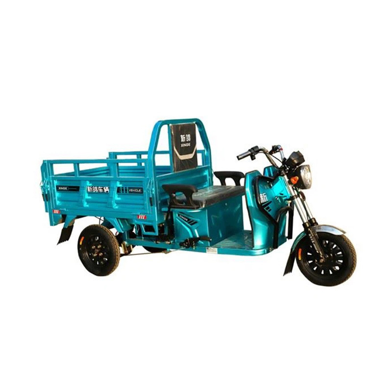 Petani Menggunakan Tricycle Elektrik Ekonomi 800W