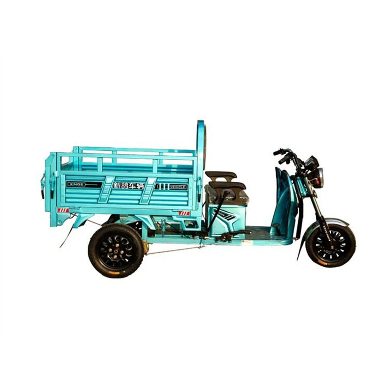 Petani Menggunakan Tricycle Elektrik Ekonomi 800W